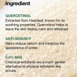 ANUA_heartleaf_quercetinol_pore_deep_cleansing_foam