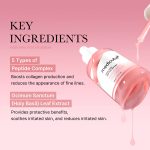 MEDICUBE_PDRN_Pink_Peptide_Serum