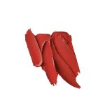 M.A.C_Powder_Kiss_Lipstick_992_Werk